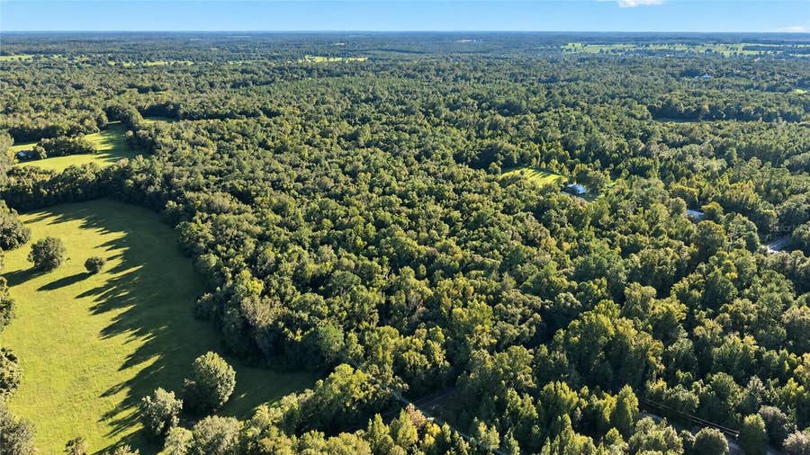 Property photo for TBD NW 200TH STREET, Micanopy, FL