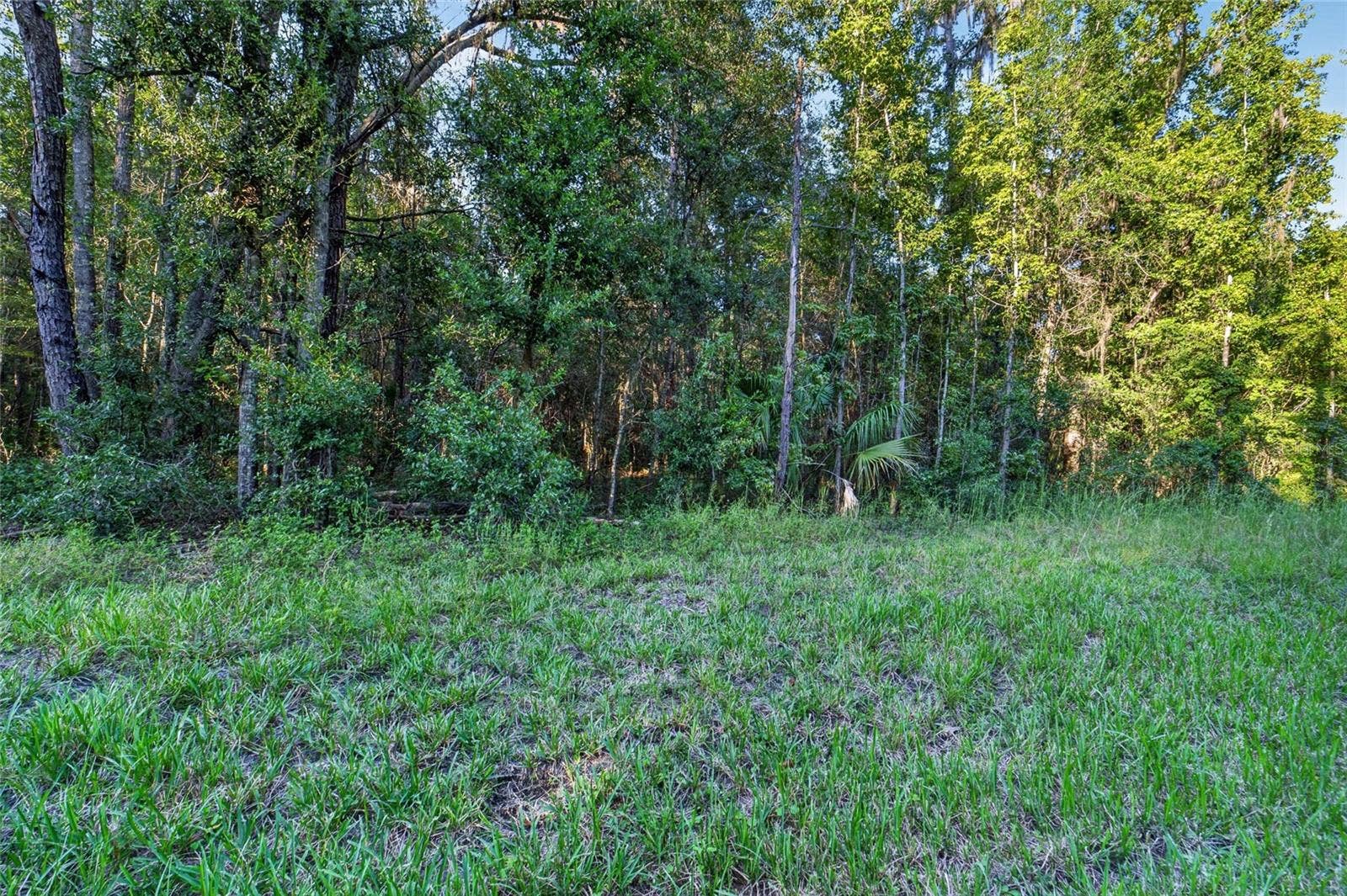 TBD NW 200TH STREET, Micanopy, FL 32667