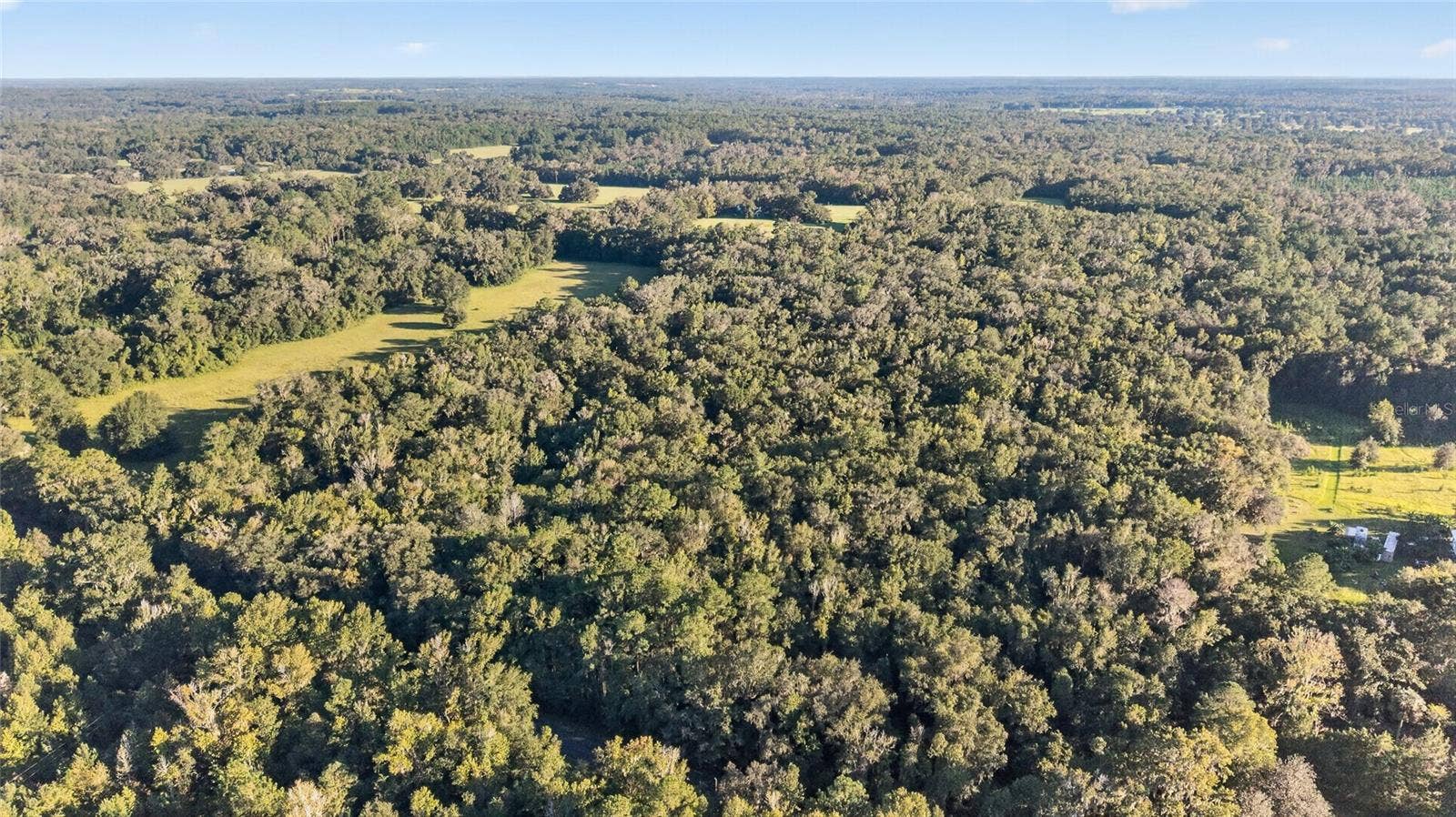TBD NW 200TH STREET, Micanopy, FL 32667
