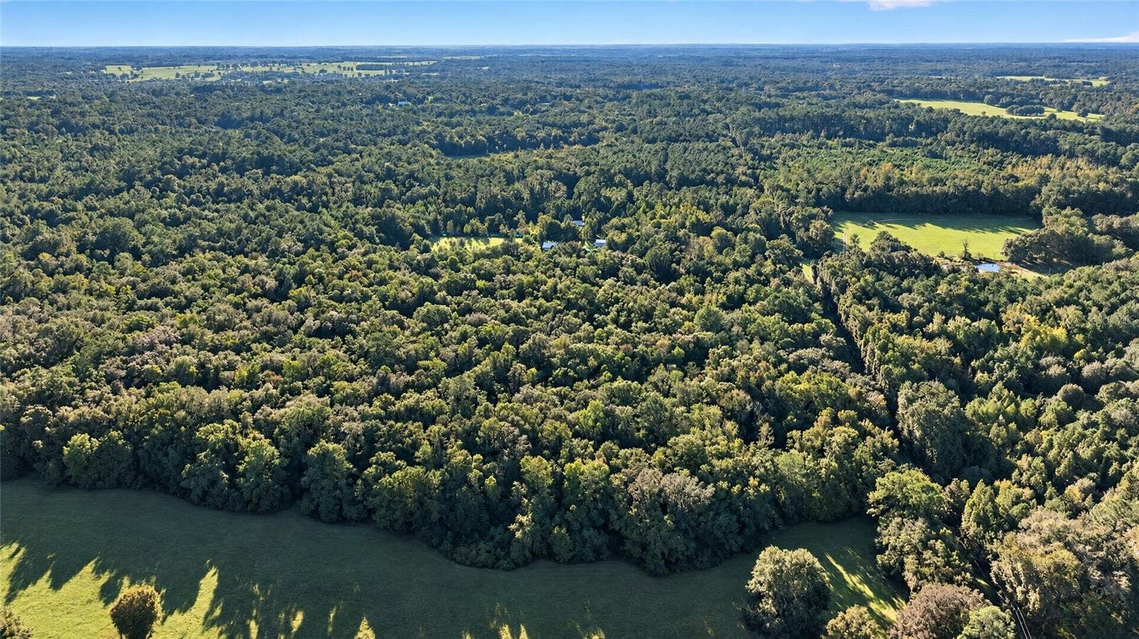TBD NW 200TH STREET, Micanopy, FL 32667