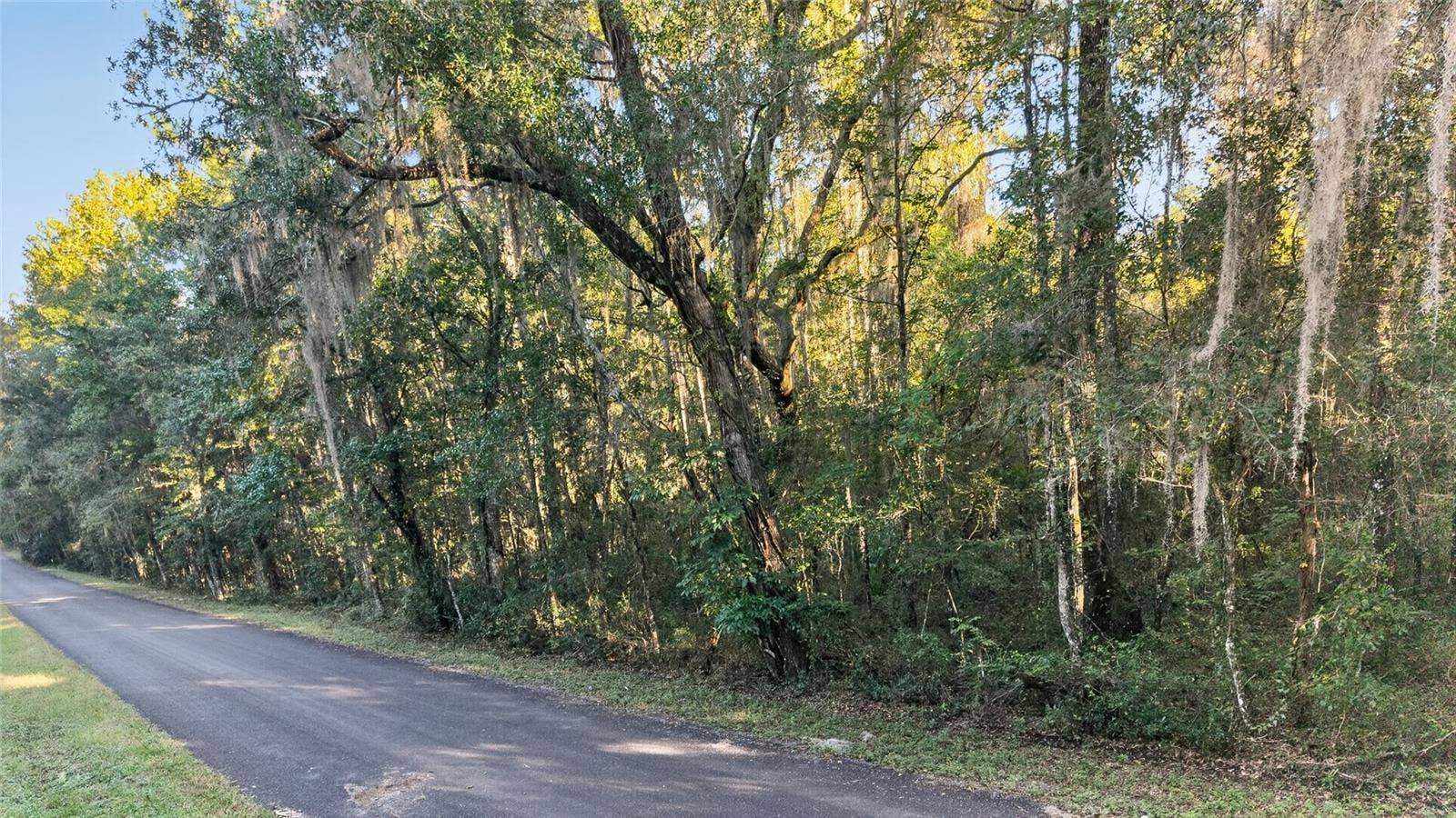 TBD NW 200TH STREET, Micanopy, FL 32667