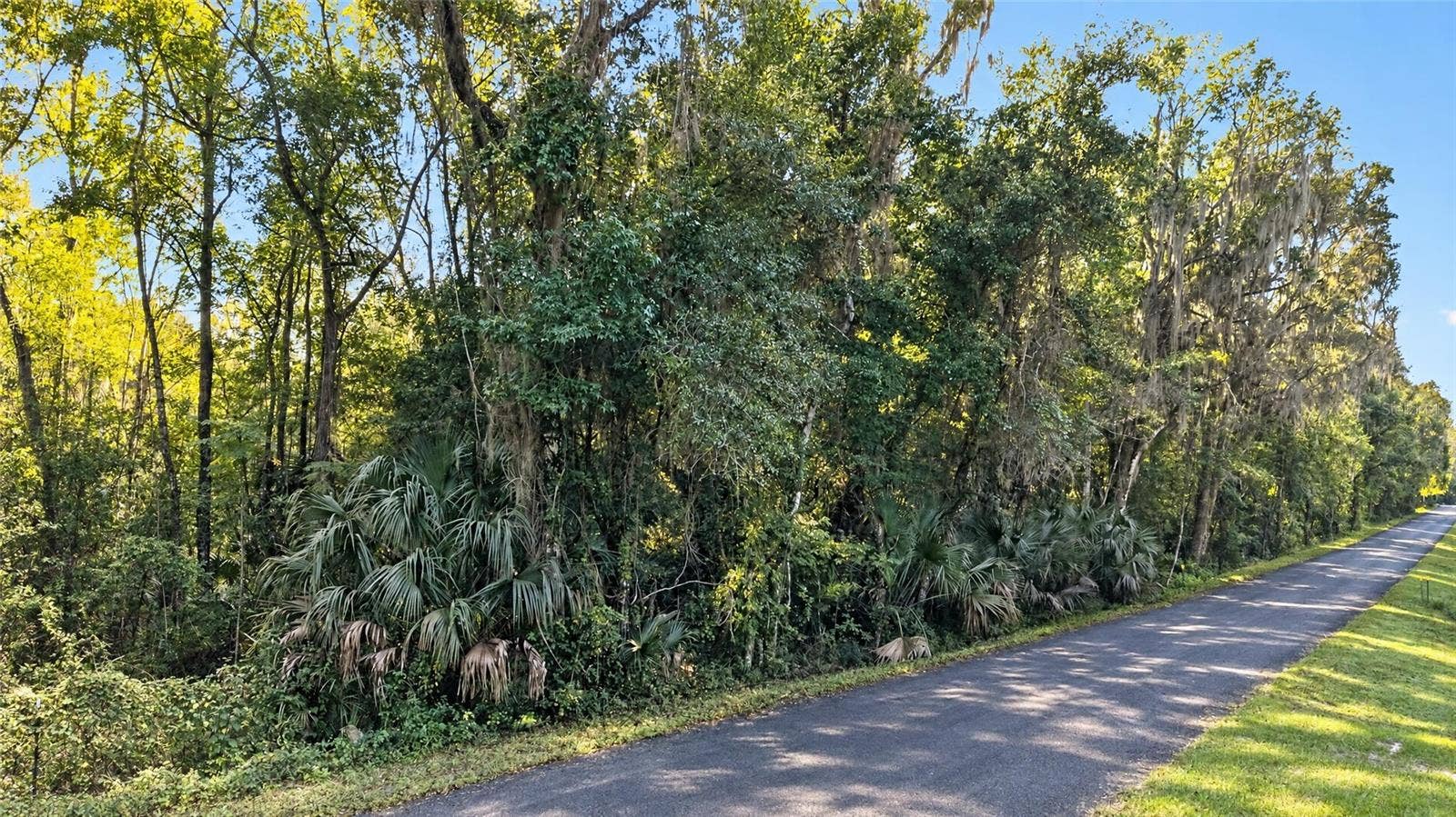 TBD NW 200TH STREET, Micanopy, FL 32667