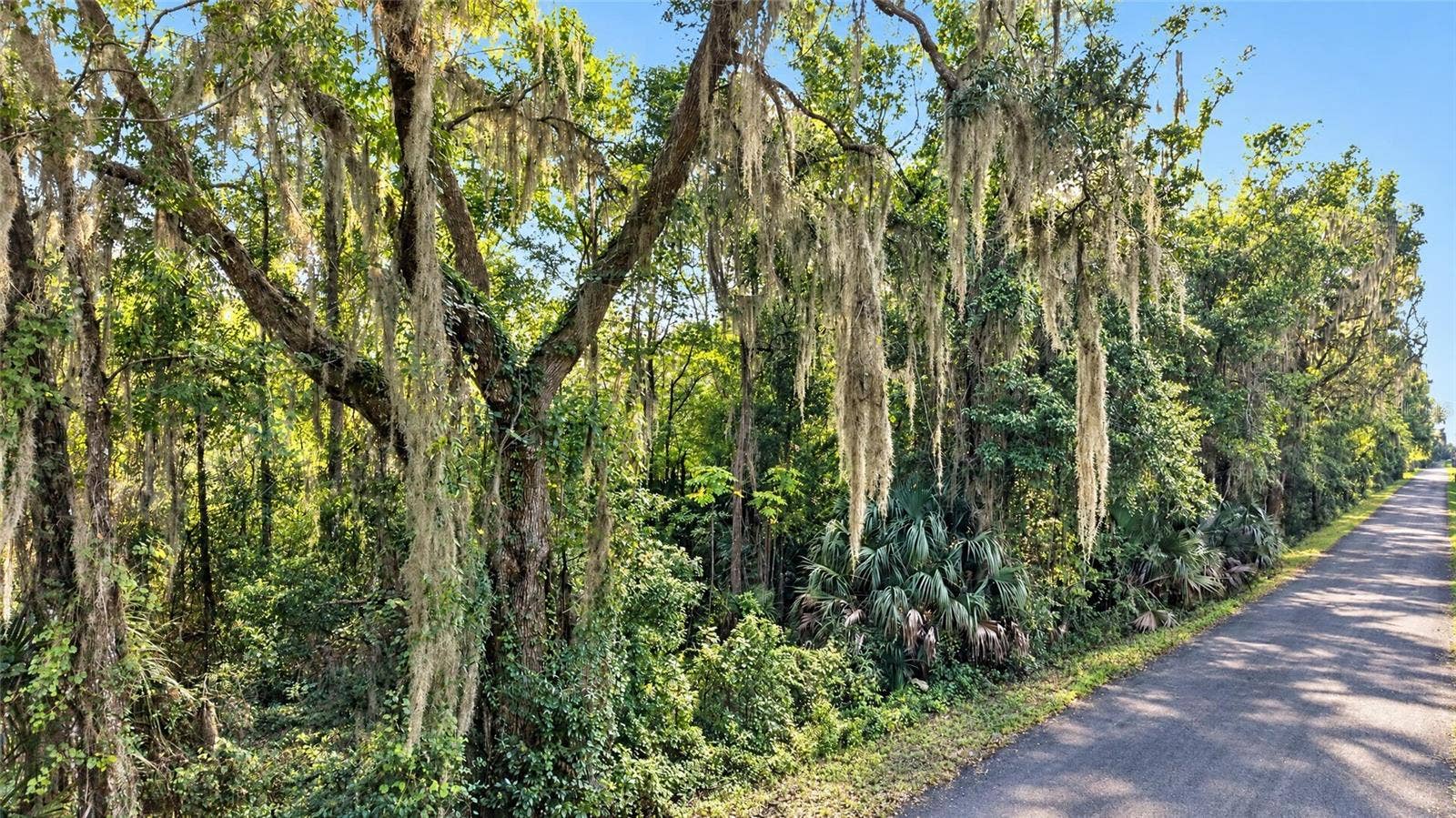 TBD NW 200TH STREET, Micanopy, FL 32667