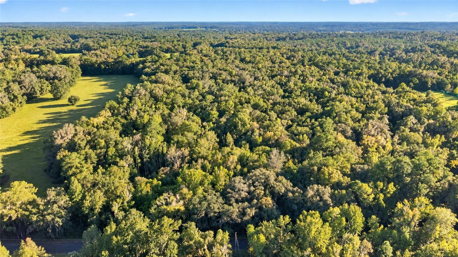 TBD NW 200TH STREET, Micanopy, FL 32667