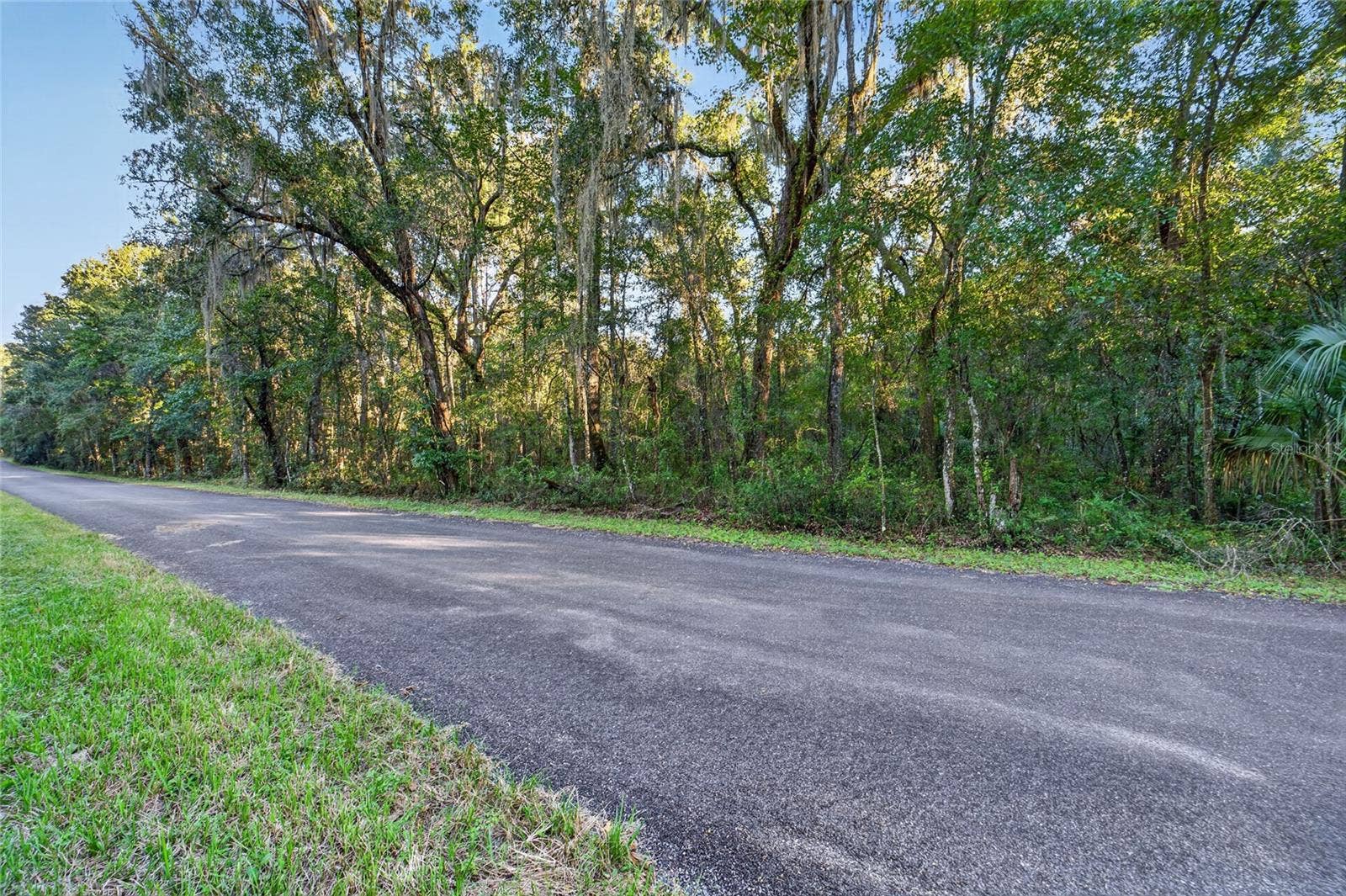 TBD NW 200TH STREET, Micanopy, FL 32667
