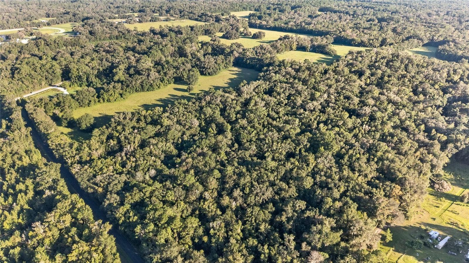 TBD NW 200TH STREET, Micanopy, FL 32667