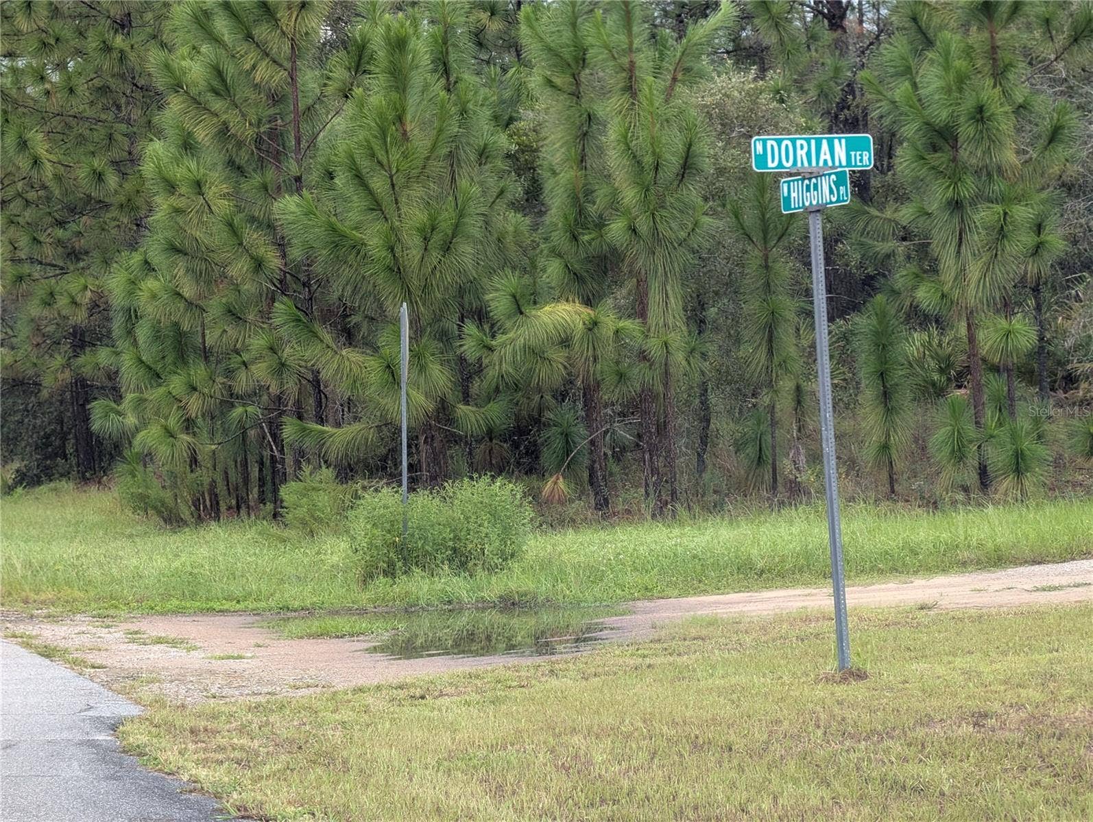 6443 N DORIAN TERRACE, Dunnellon, FL 34433