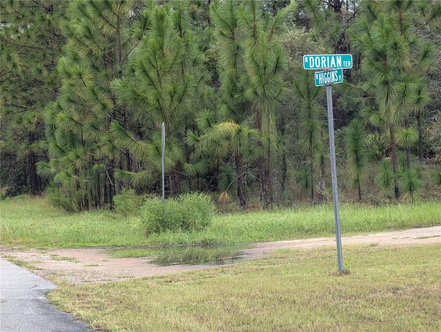 Property photo for 6443 N DORIAN TERRACE, Dunnellon, FL