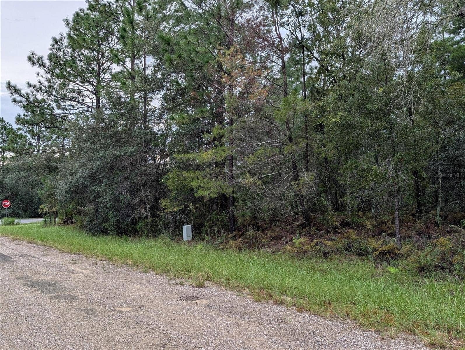 6443 N DORIAN TERRACE, Dunnellon, FL 34433