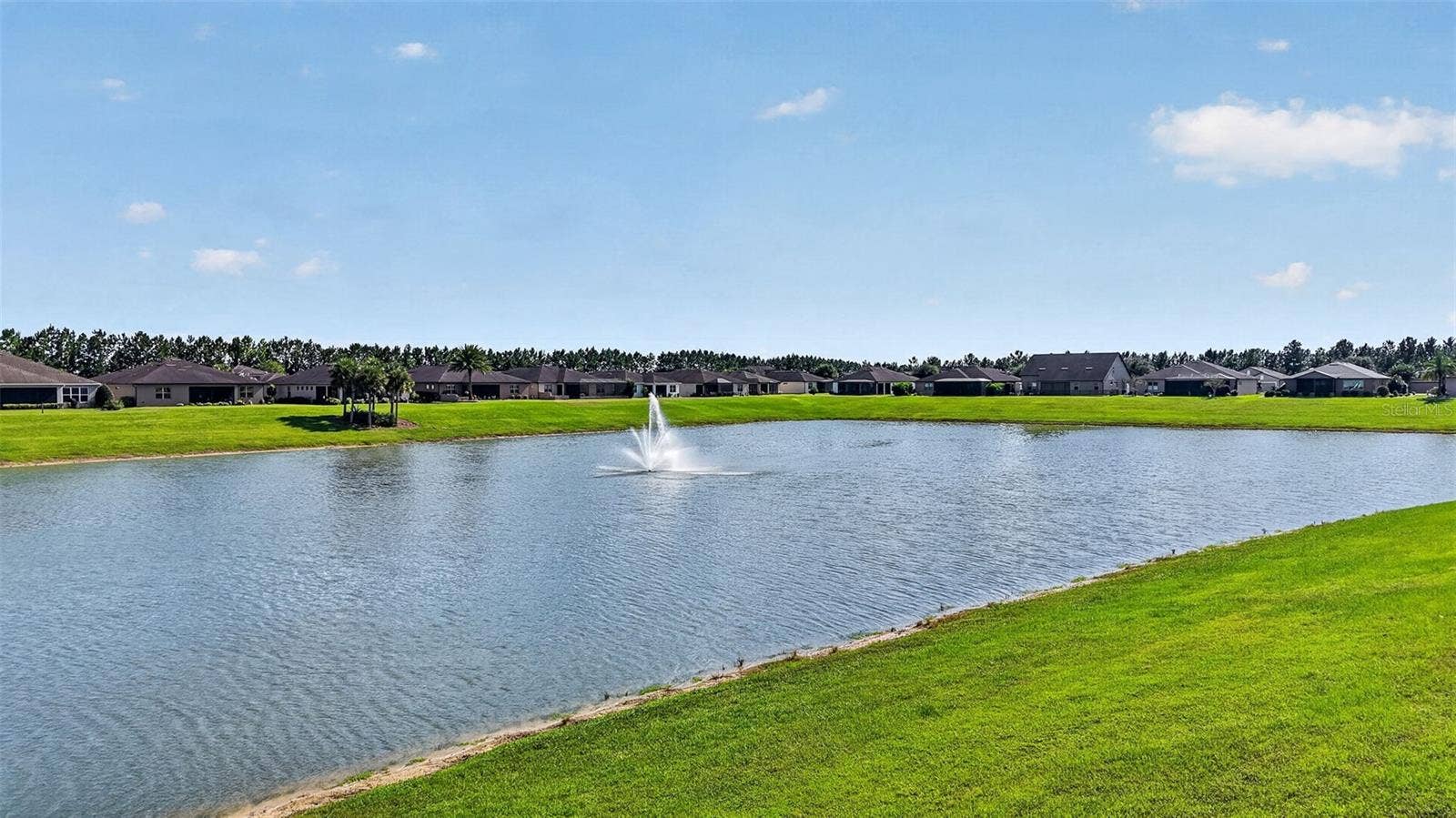 9518 SW 70TH LOOP, Ocala, FL 34481 WHAT A VIEW
