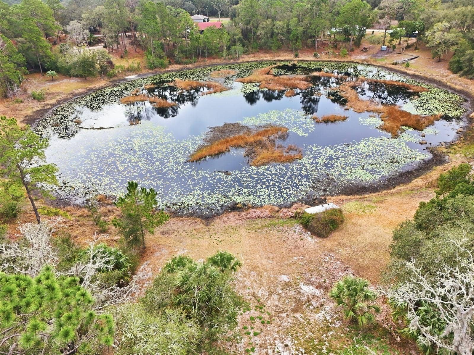 16450 SE 57TH PLACE, Ocklawaha, FL 32179