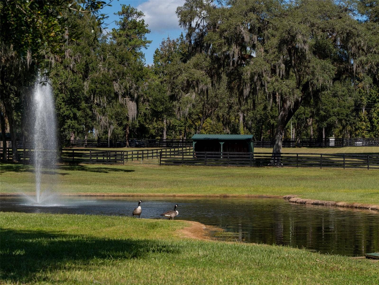 8070 W HIGHWAY 326, Ocala, FL 34482