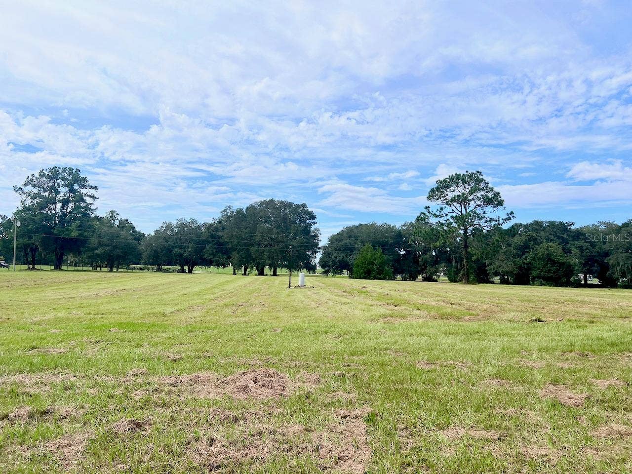3451 NE 167TH COURT, Williston, FL 32696 3451 NE 167TH COURT, Williston, FL 32696