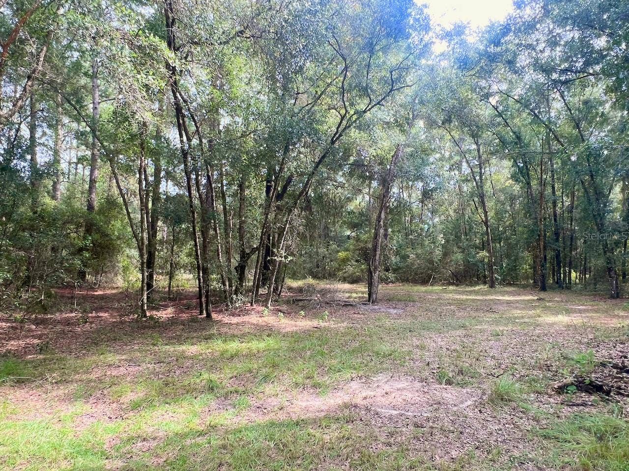 3451 NE 167TH COURT, Williston, FL 32696 3451 NE 167TH COURT, Williston, FL 32696
