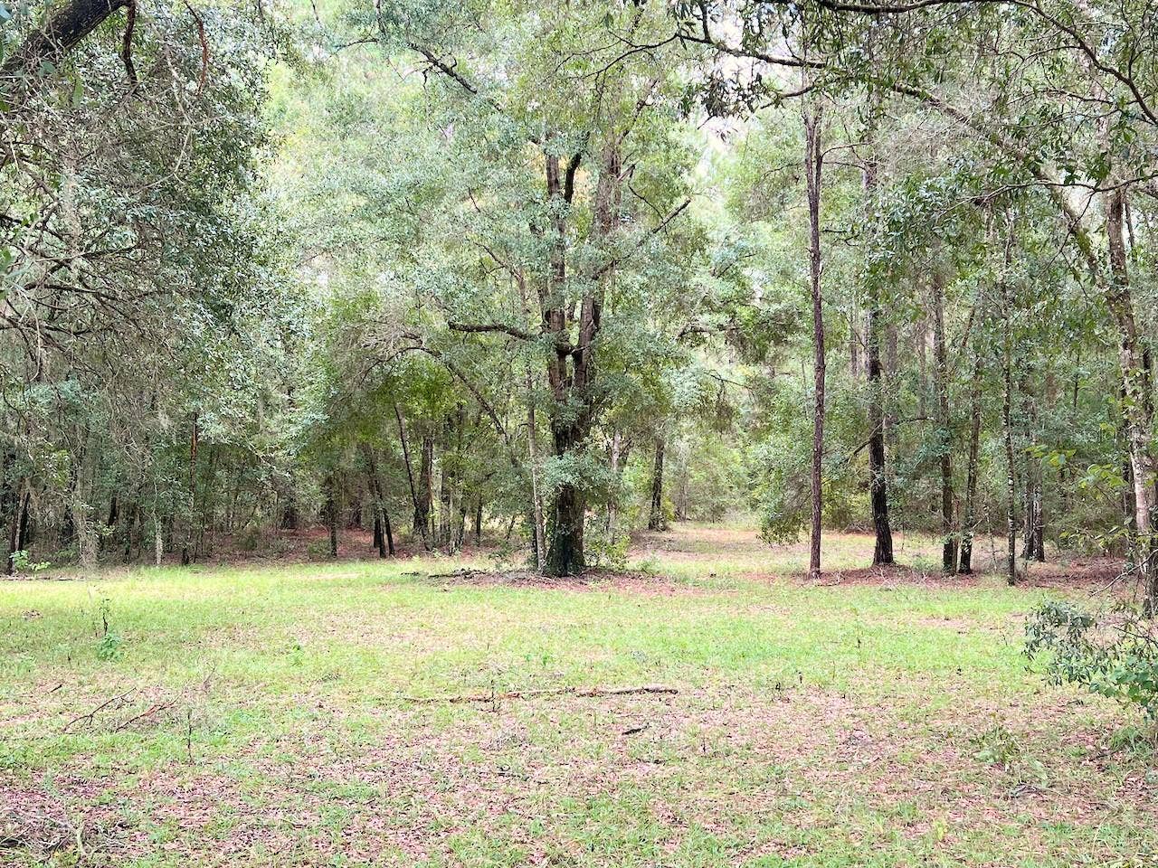 3451 NE 167TH COURT, Williston, FL 32696 3451 NE 167TH COURT, Williston, FL 32696