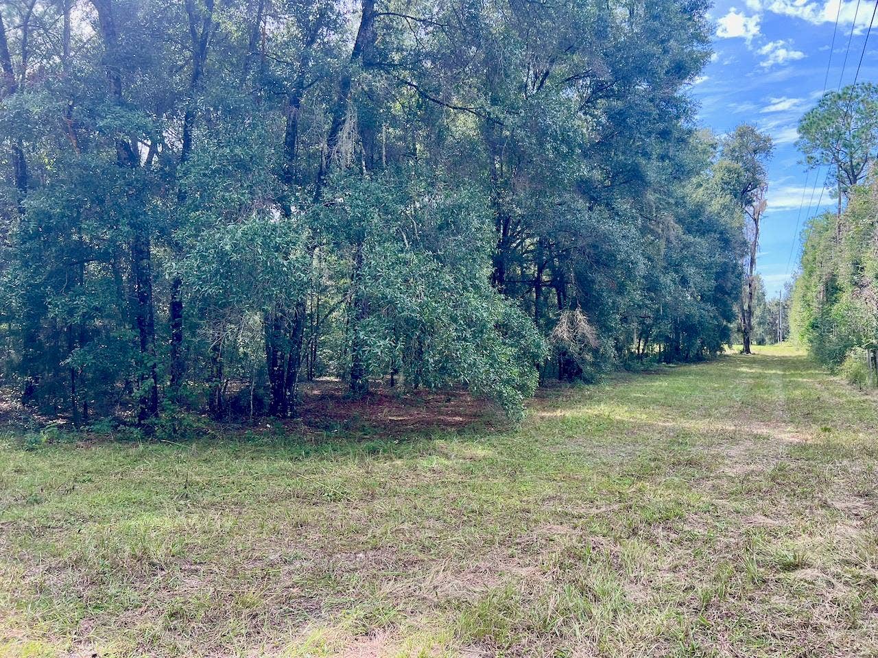 3451 NE 167TH COURT, Williston, FL 32696 3451 NE 167TH COURT, Williston, FL 32696