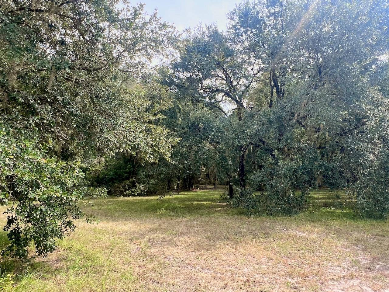 3451 NE 167TH COURT, Williston, FL 32696 3451 NE 167TH COURT, Williston, FL 32696