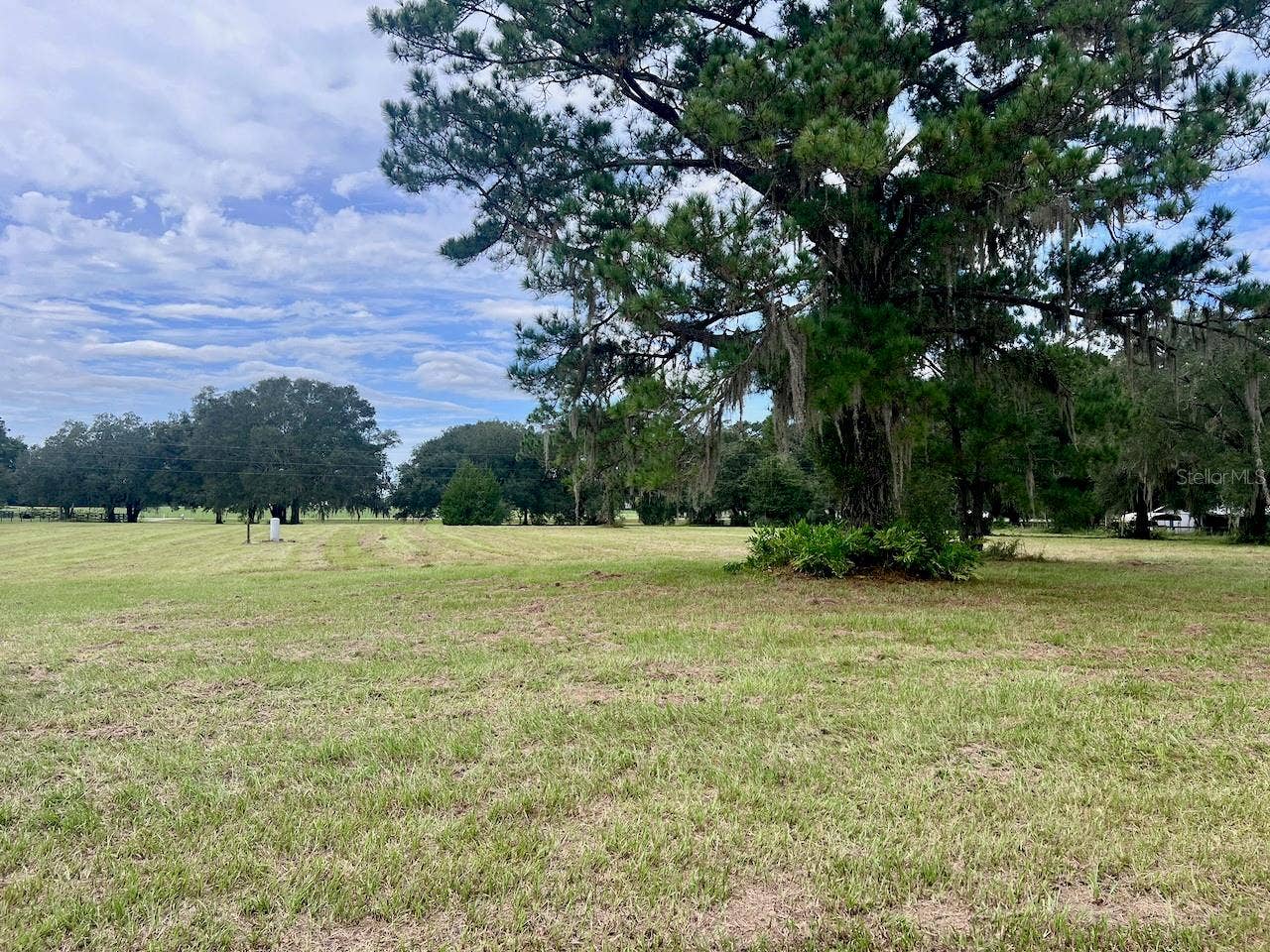 3451 NE 167TH COURT, Williston, FL 32696 3451 NE 167TH COURT, Williston, FL 32696