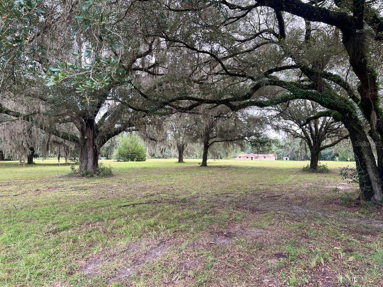3451 NE 167TH COURT, Williston, FL 32696 3451 NE 167TH COURT, Williston, FL 32696