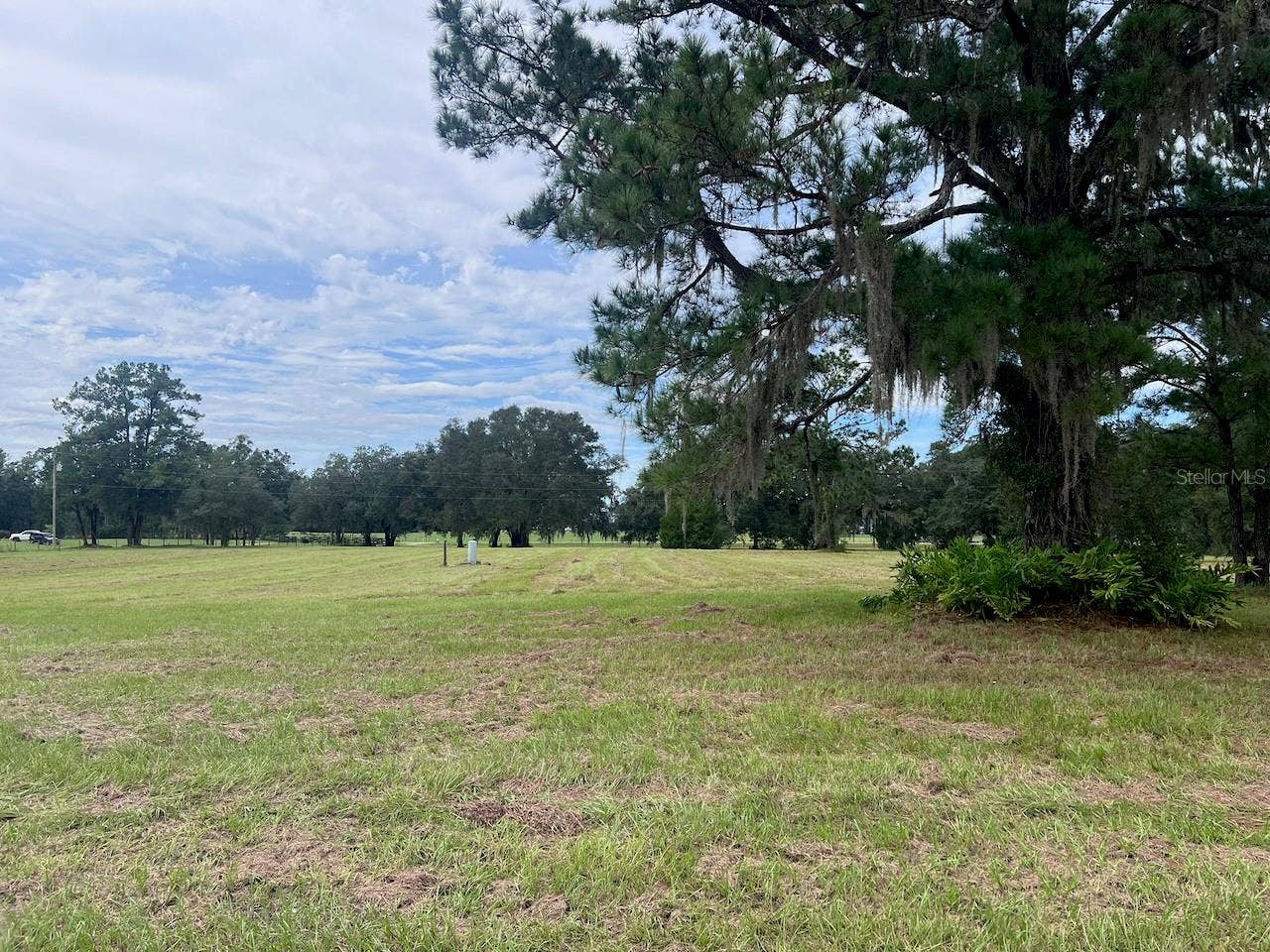 3451 NE 167TH COURT, Williston, FL 32696 3451 NE 167TH COURT, Williston, FL 32696