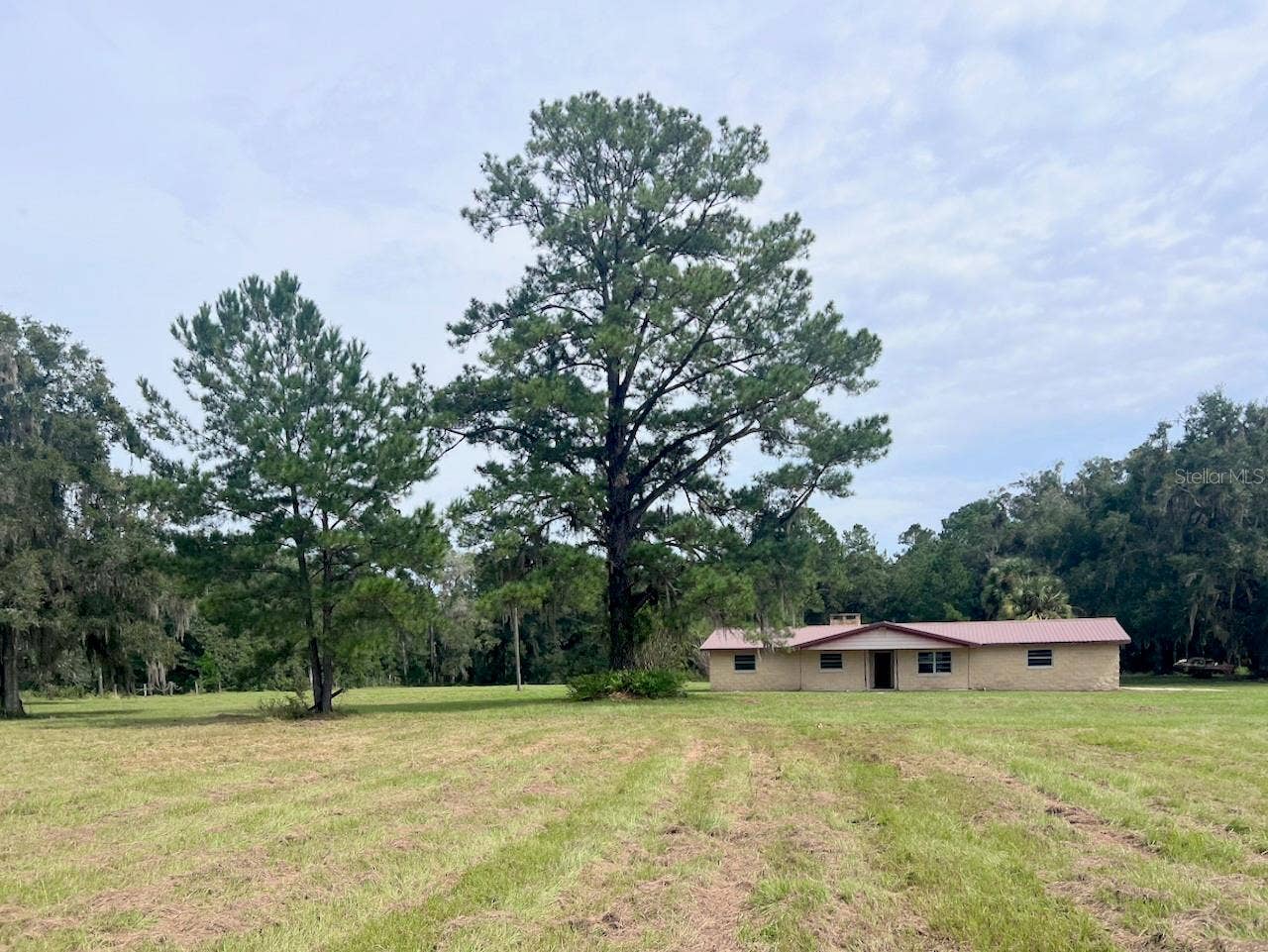 3451 NE 167TH COURT, Williston, FL 32696 3451 NE 167TH COURT, Williston, FL 32696