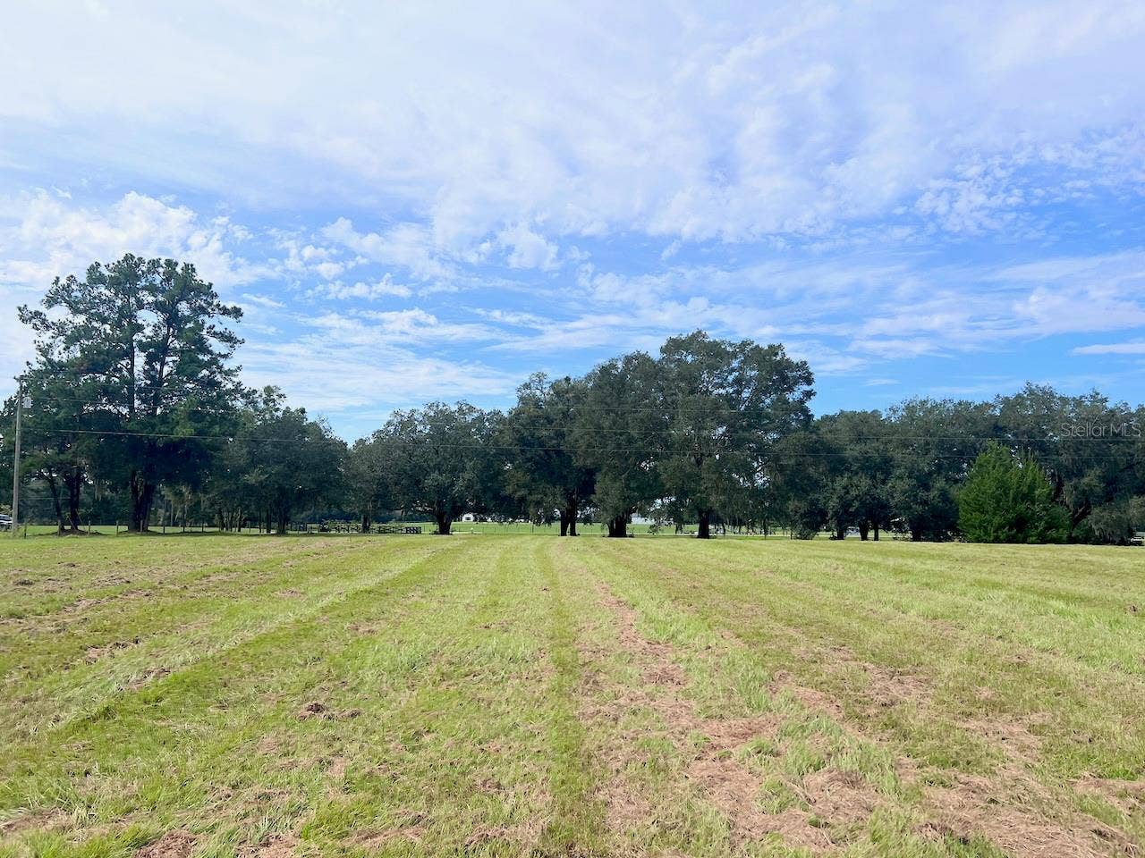 3451 NE 167TH COURT, Williston, FL 32696 3451 NE 167TH COURT, Williston, FL 32696