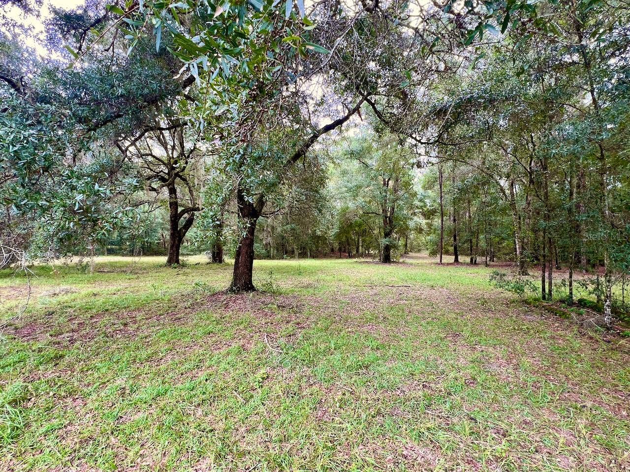 3451 NE 167TH COURT, Williston, FL 32696 3451 NE 167TH COURT, Williston, FL 32696