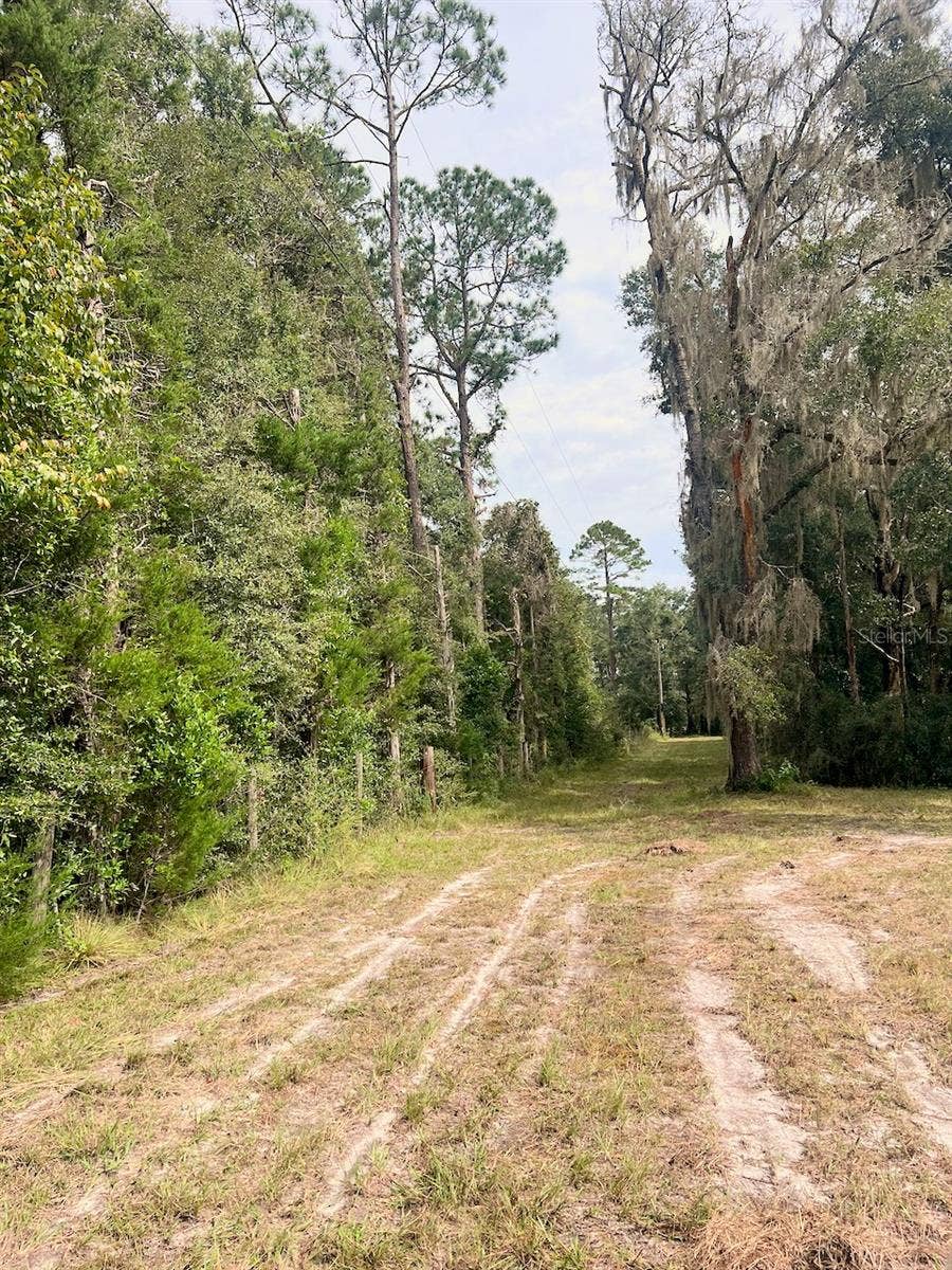 3451 NE 167TH COURT, Williston, FL 32696 3451 NE 167TH COURT, Williston, FL 32696