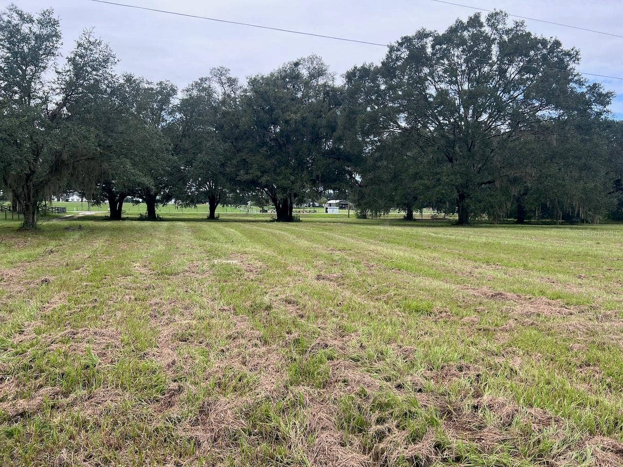 3451 NE 167TH COURT, Williston, FL 32696 3451 NE 167TH COURT, Williston, FL 32696