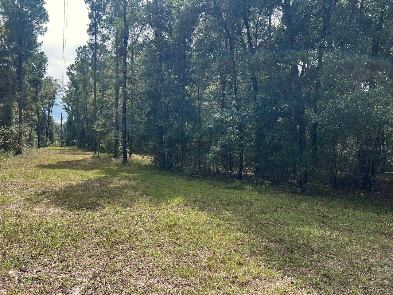 3451 NE 167TH COURT, Williston, FL 32696 3451 NE 167TH COURT, Williston, FL 32696
