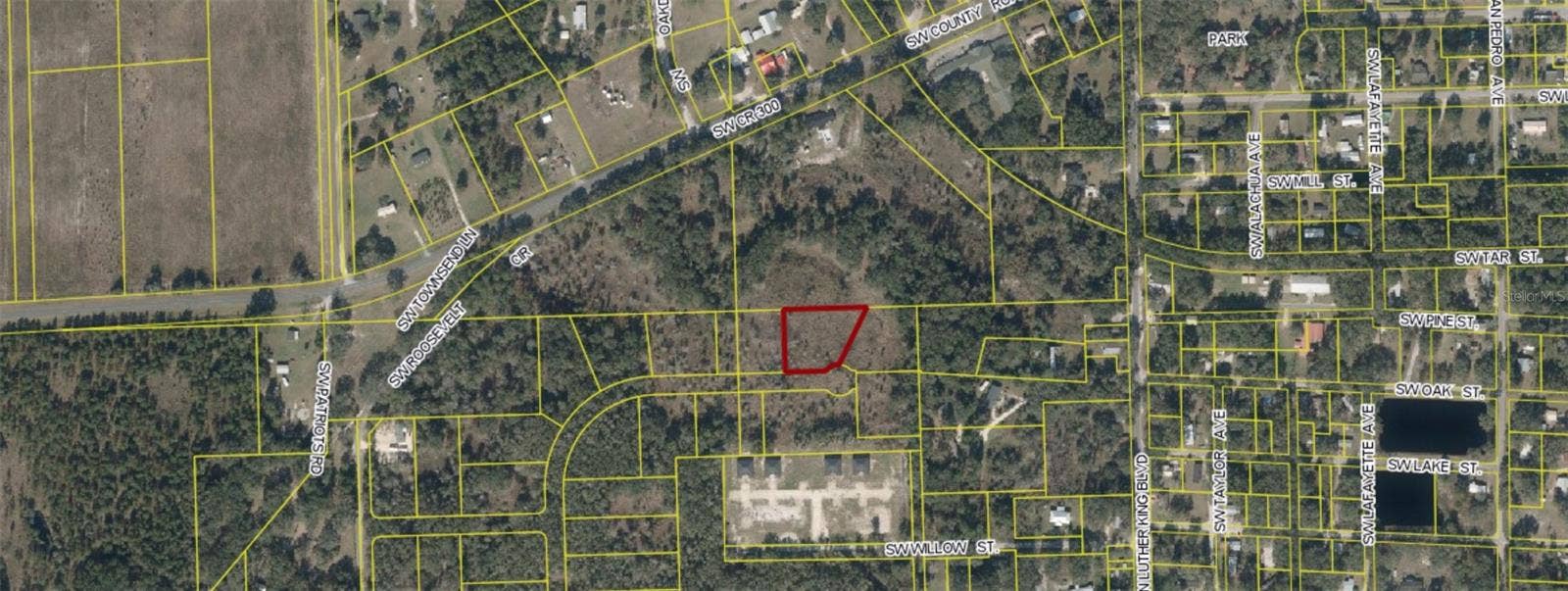 SW ROOSEVELT, Mayo, FL 32066