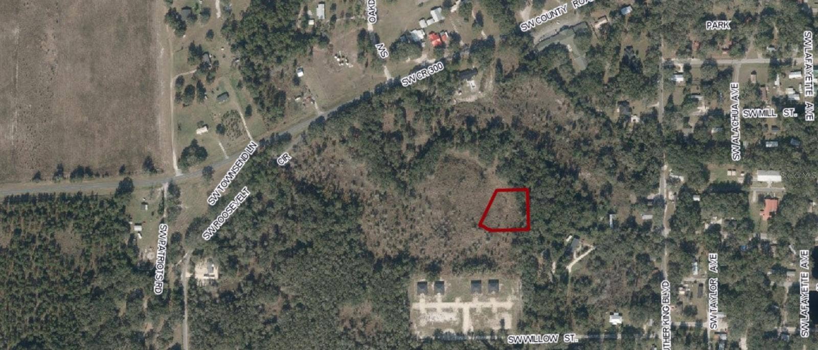 SW ROOSEVELT, Mayo, FL 32066