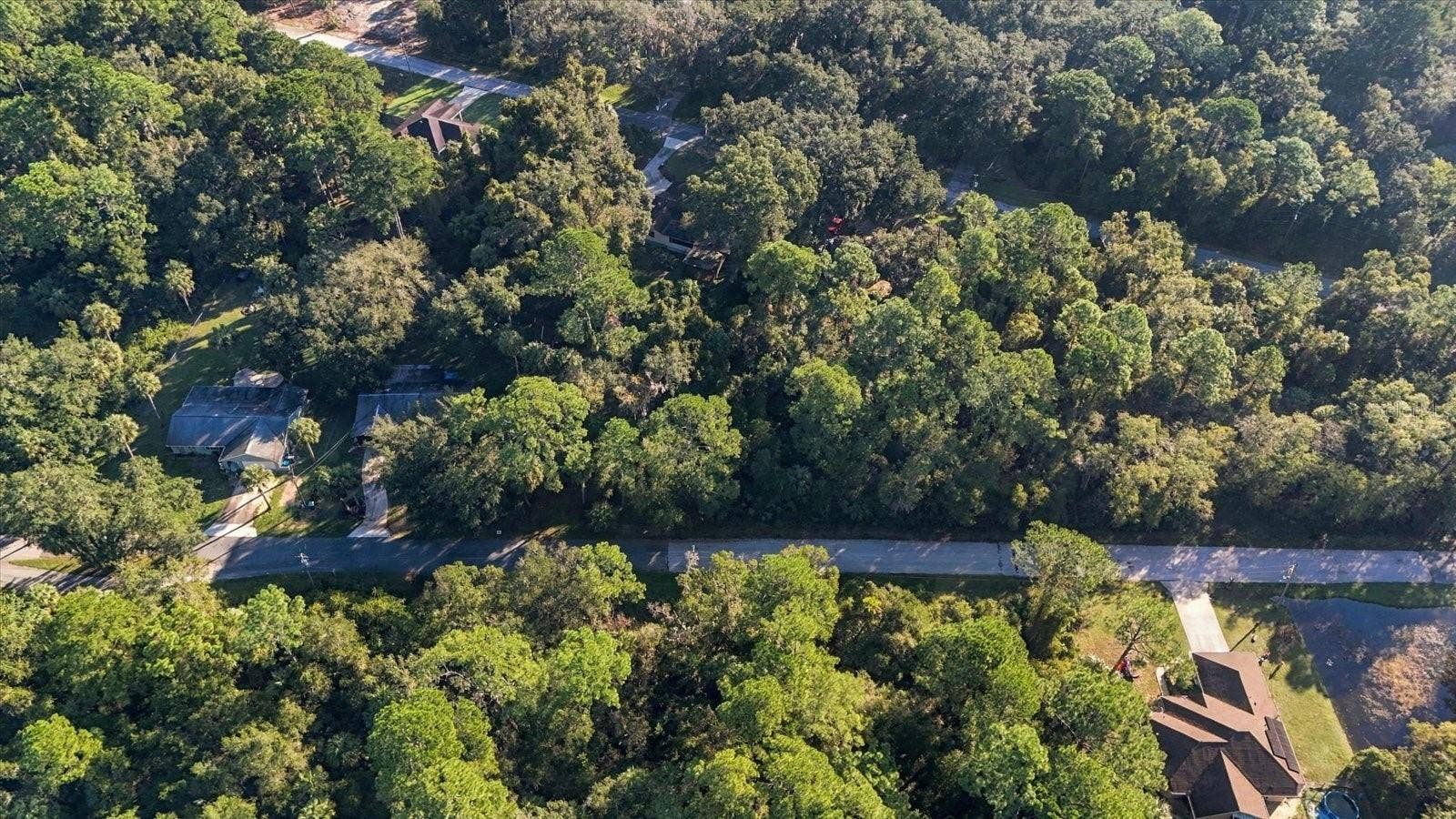 11129 W CEDAR LAKE DRIVE, Crystal River, FL 34428 11129 W CEDAR LAKE DRIVE, Crystal River, FL 34428