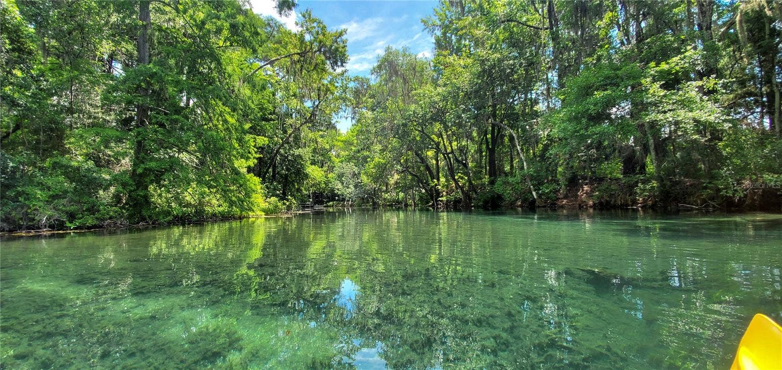 Rainbow River Near Home