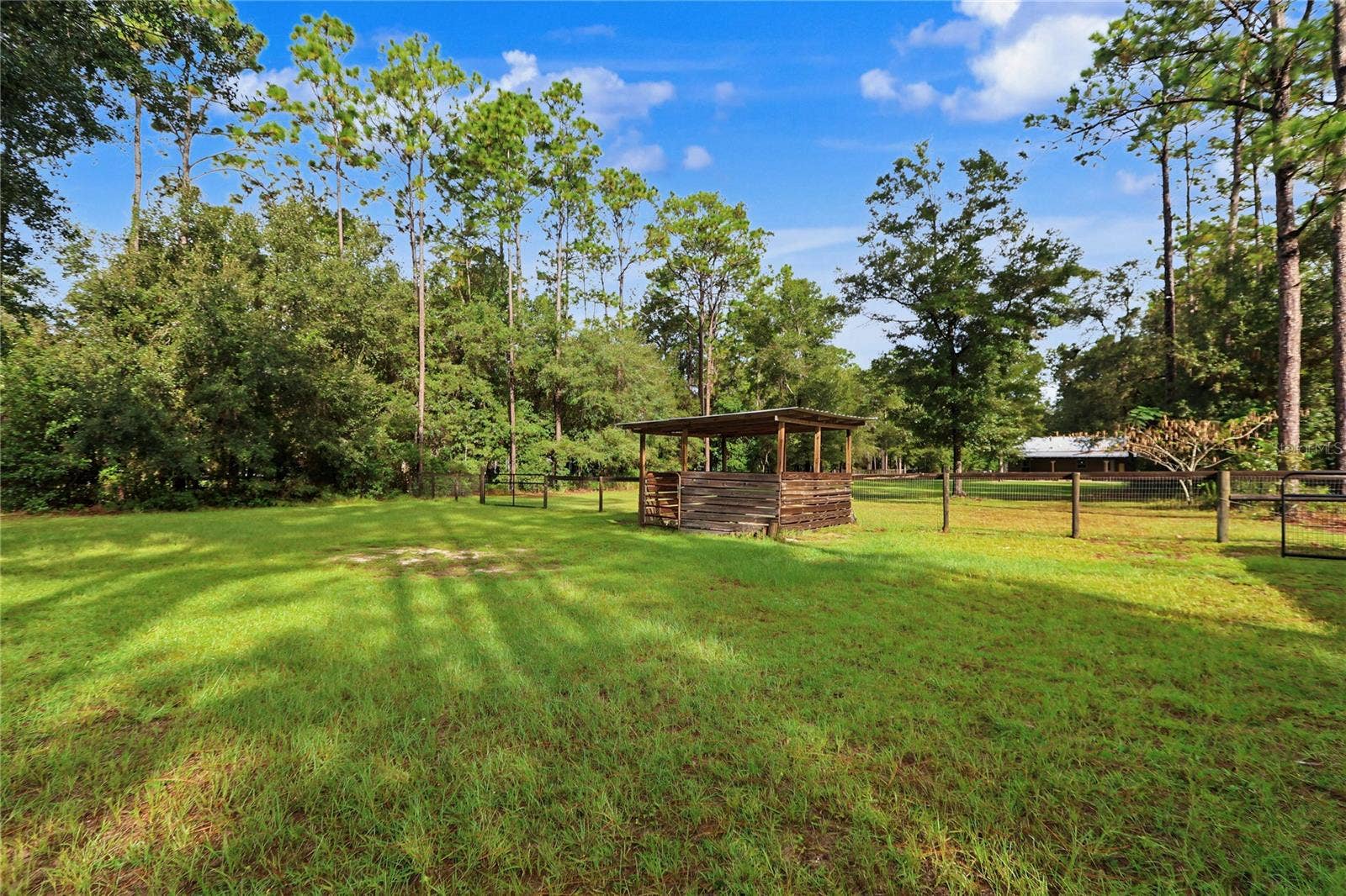 View Frm Pasture