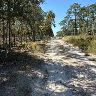 SW 92ND  PLACE, Dunnellon, FL 34432