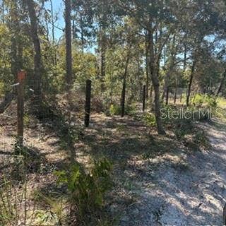 SW 92ND  PLACE, Dunnellon, FL 34432