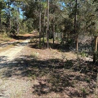 SW 92ND  PLACE, Dunnellon, FL 34432