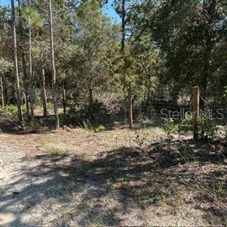 SW 92ND  PLACE, Dunnellon, FL 34432
