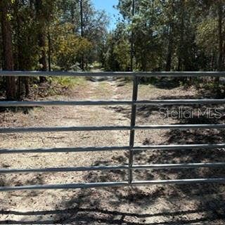 SW 92ND  PLACE, Dunnellon, FL 34432