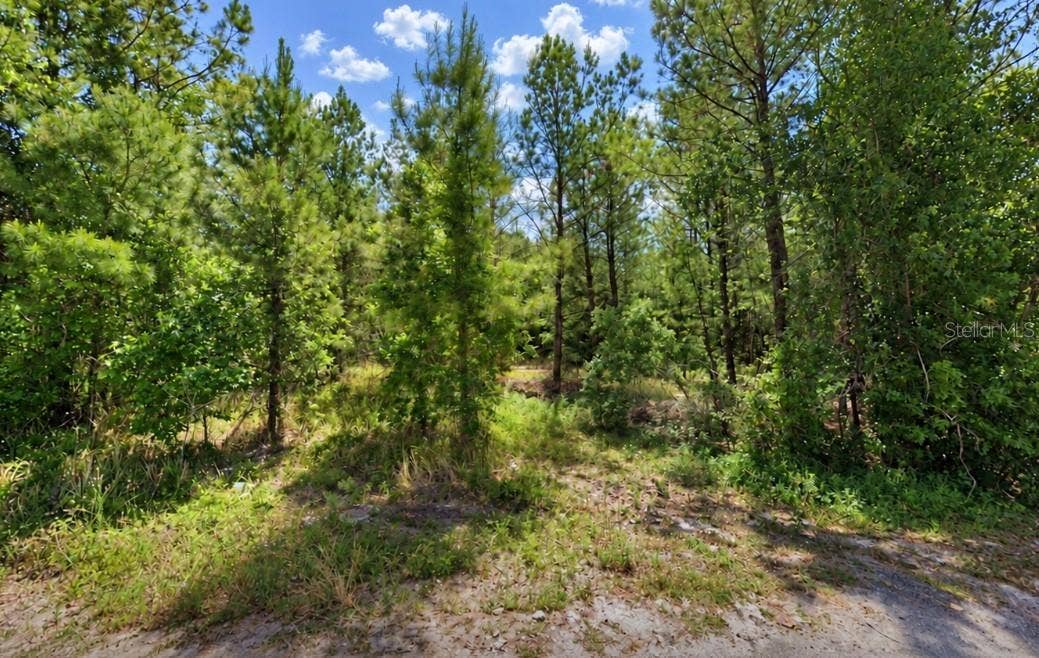 207 OAK LANE RUN, Ocala, FL 34472