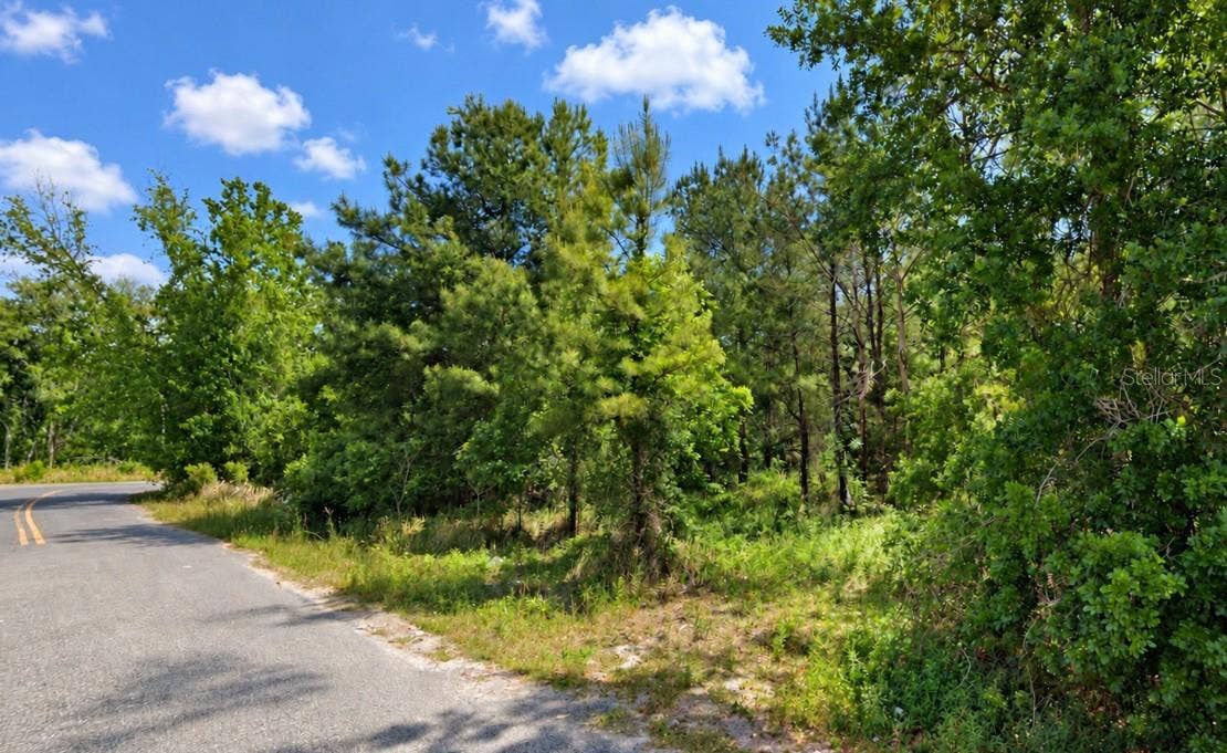 207 OAK LANE RUN, Ocala, FL 34472