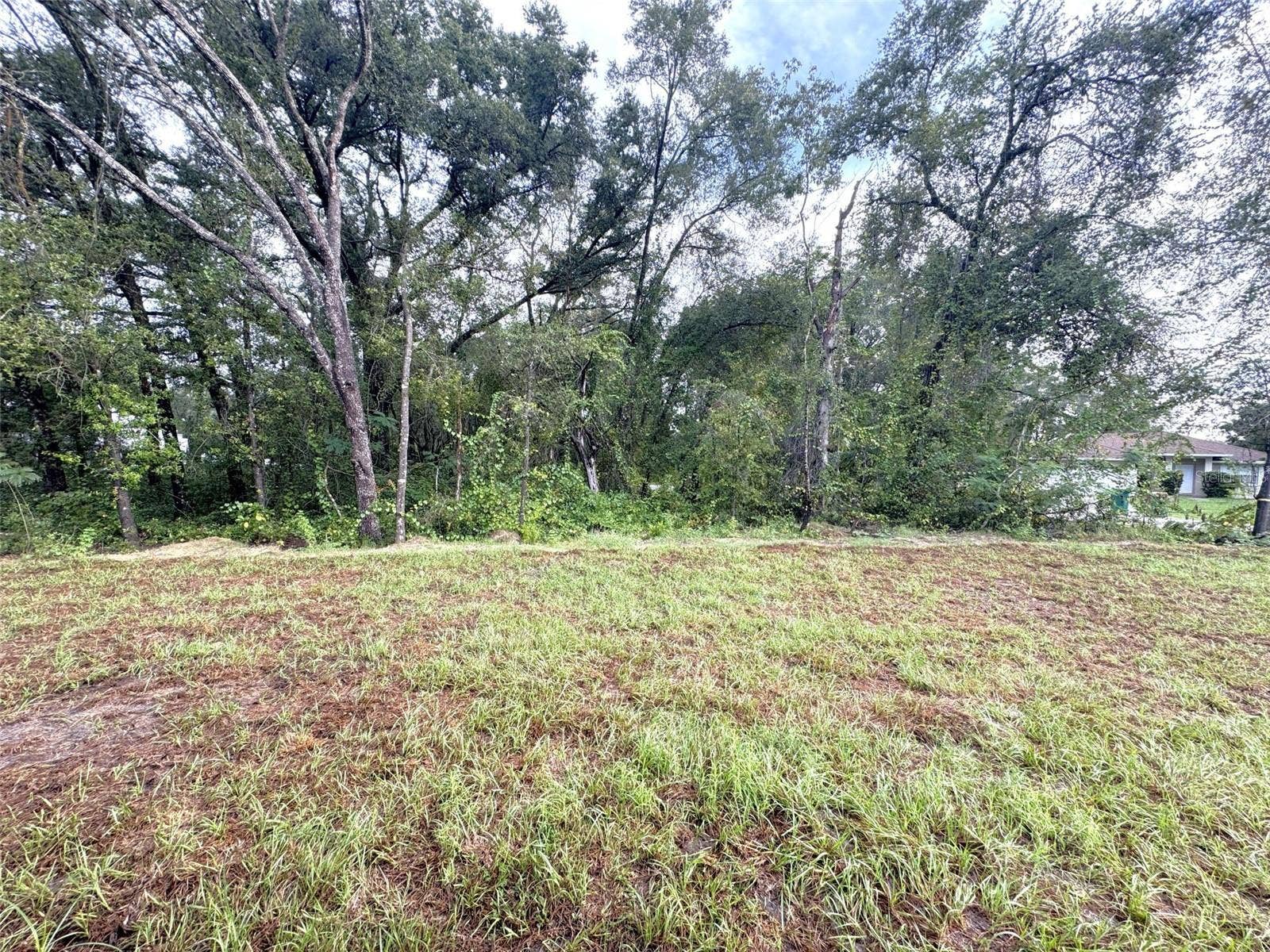 3893 E FOREST DRIVE, Inverness, FL 34453 3893 E FOREST DRIVE, Inverness, FL 34453