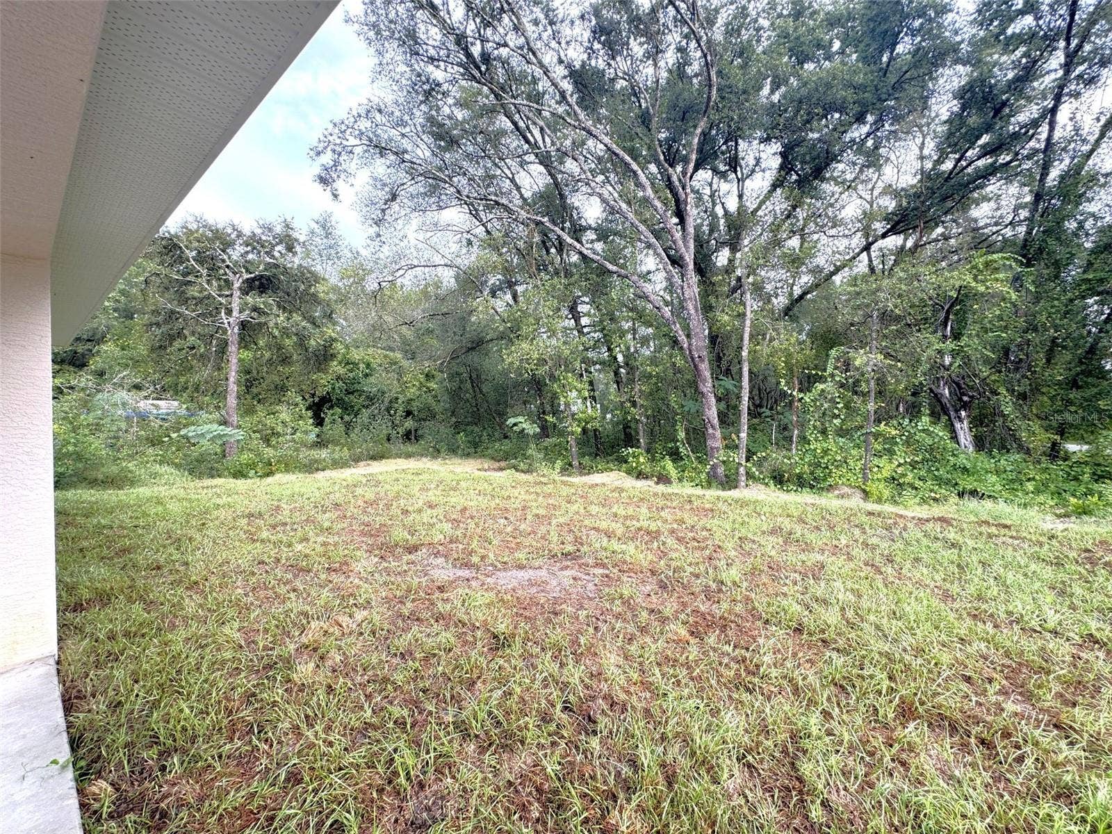 3893 E FOREST DRIVE, Inverness, FL 34453 3893 E FOREST DRIVE, Inverness, FL 34453