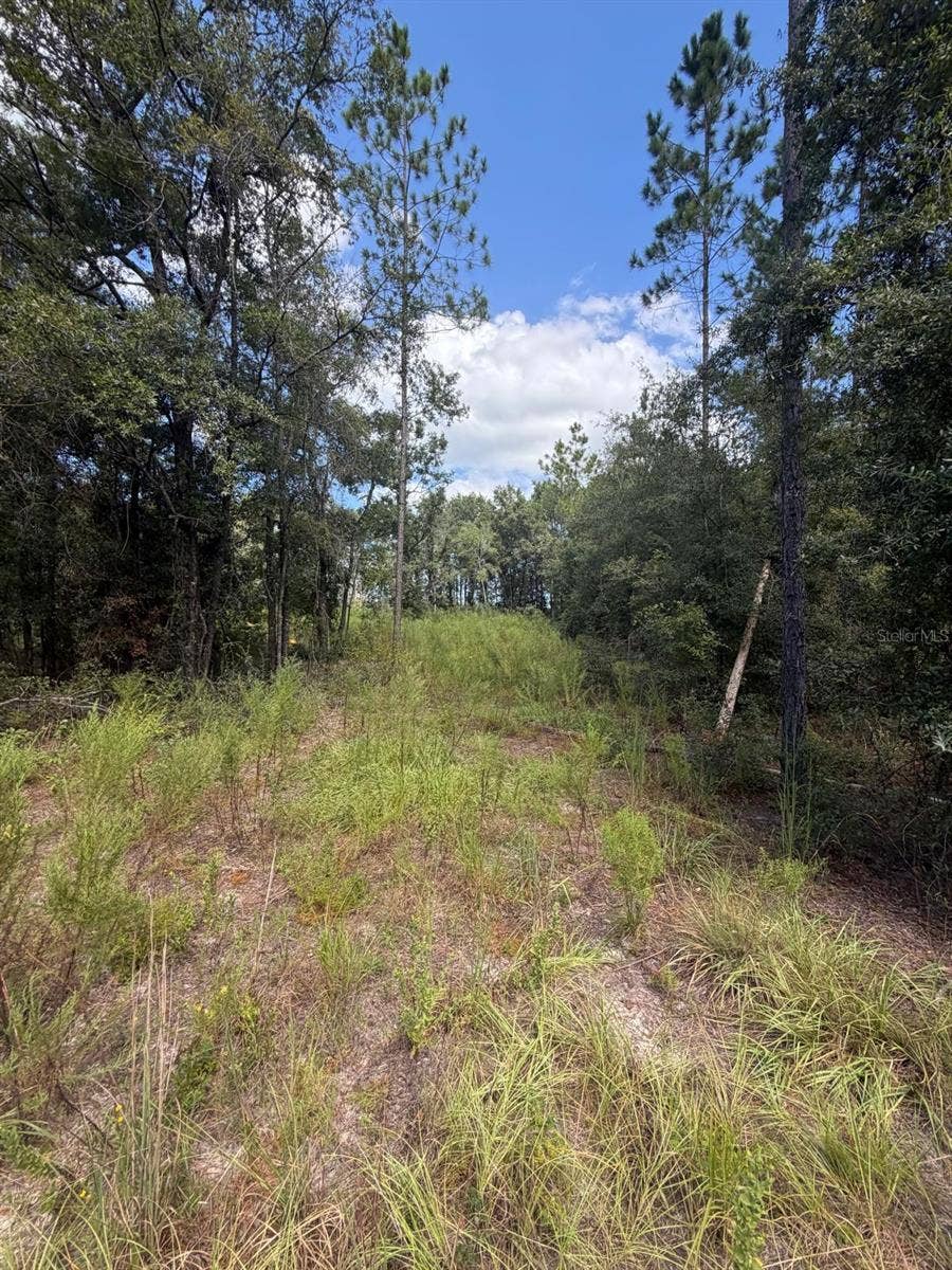 FOXWOOD, Fort White, FL 32038 FOXWOOD, Fort White, FL 32038
