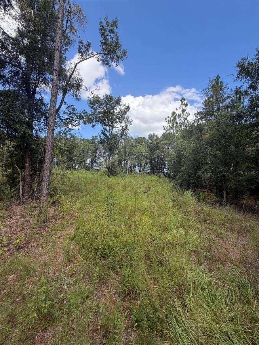 FOXWOOD, Fort White, FL 32038 FOXWOOD, Fort White, FL 32038