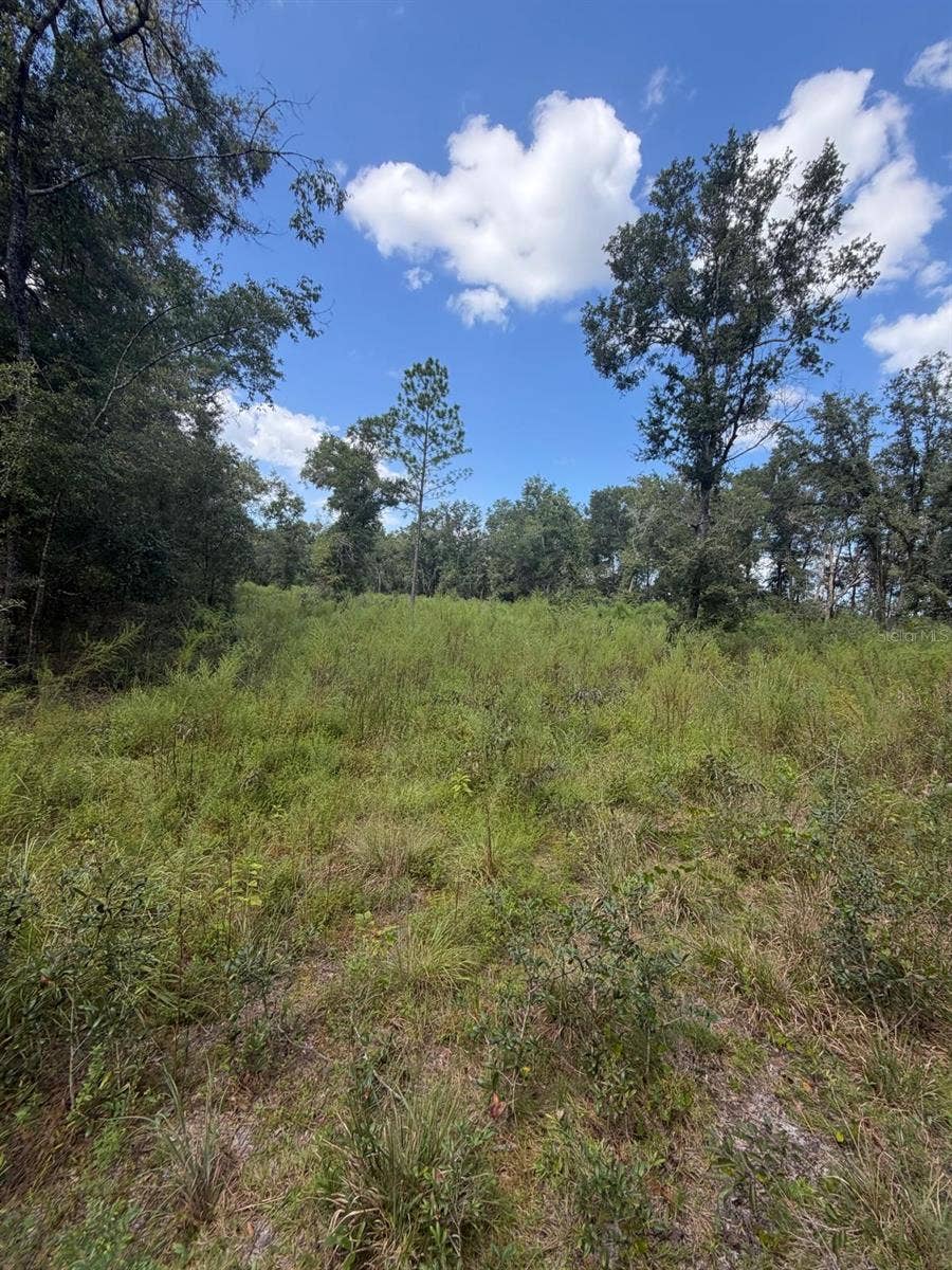 Property photo for FOXWOOD, Fort White, FL