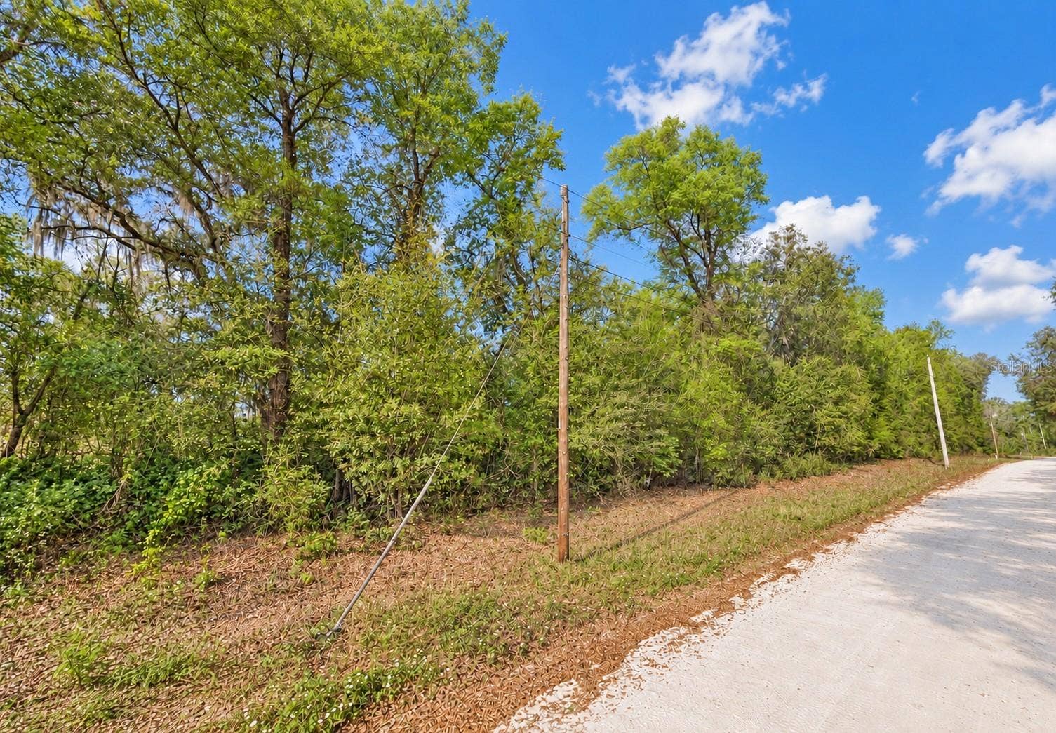 147 FISHERMANS DRIVE, Interlachen, FL 32148