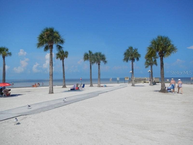 Pine Island