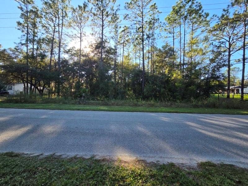 SW 176TH AVE, Dunnellon, FL 34432 SW 176TH AVE, Dunnellon, FL 34432